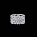 Anillo Fascia Alta