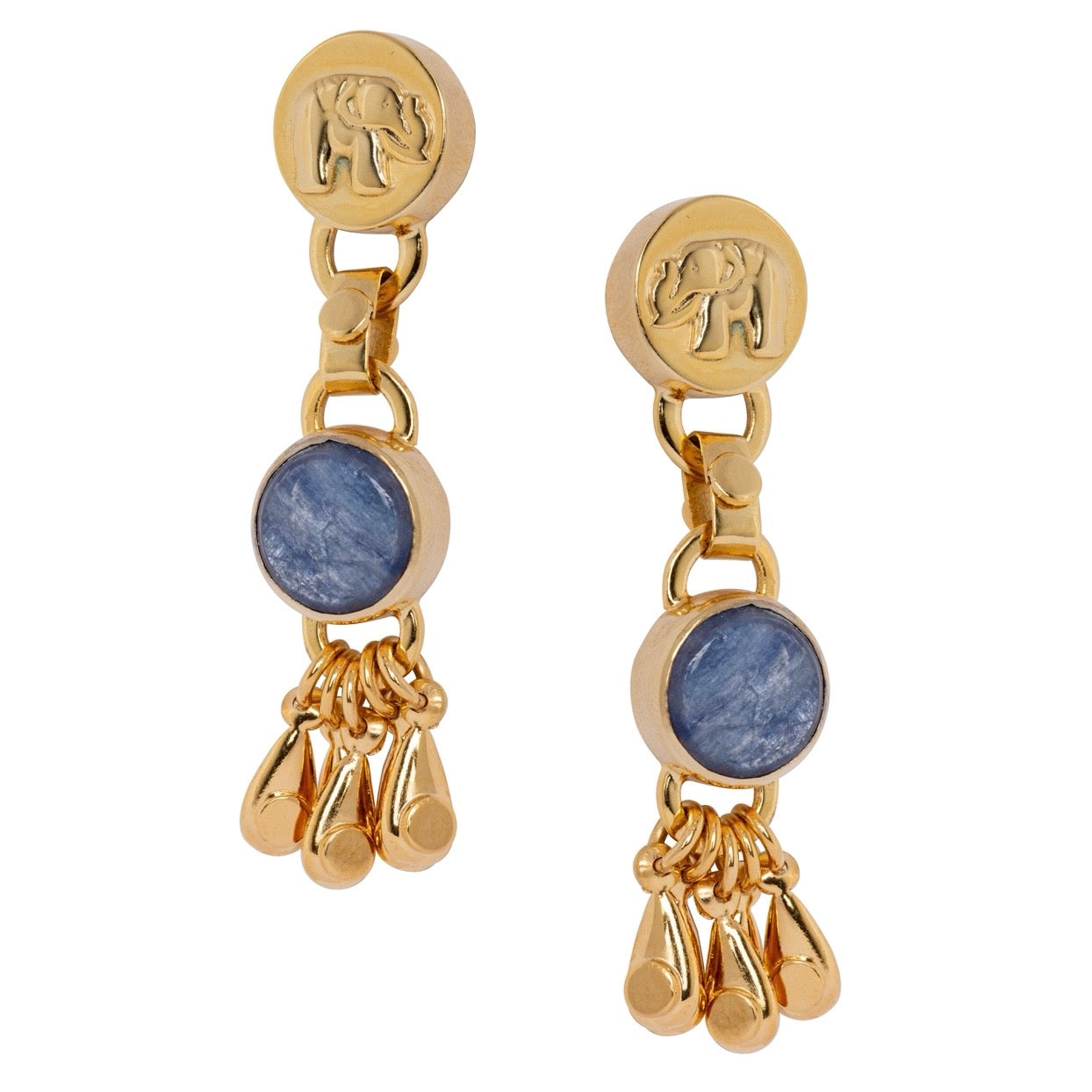 Majestic Curve Earrings Sodalite